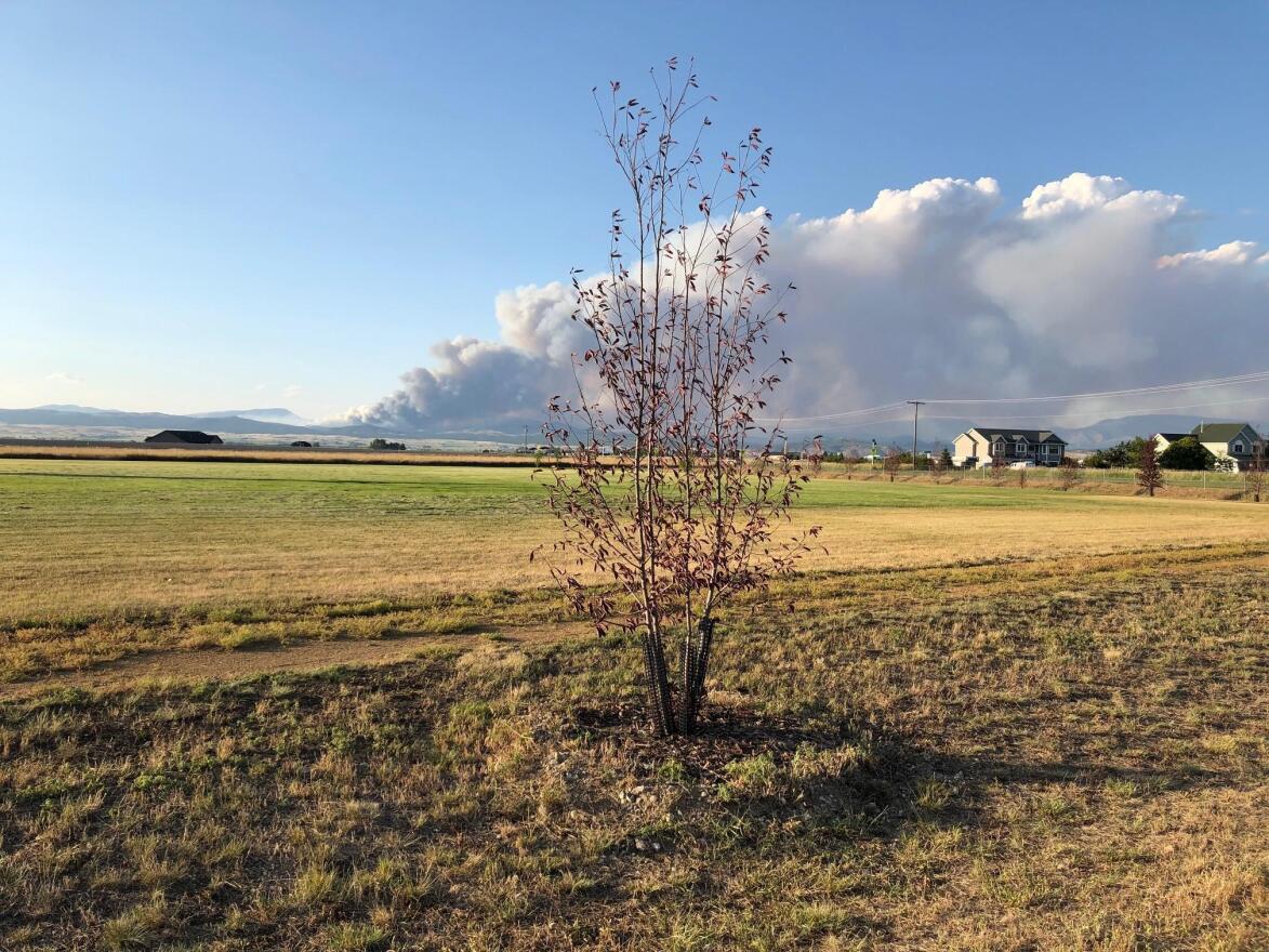 A view of the North Hills Fire near Helena, July 29, 2019.